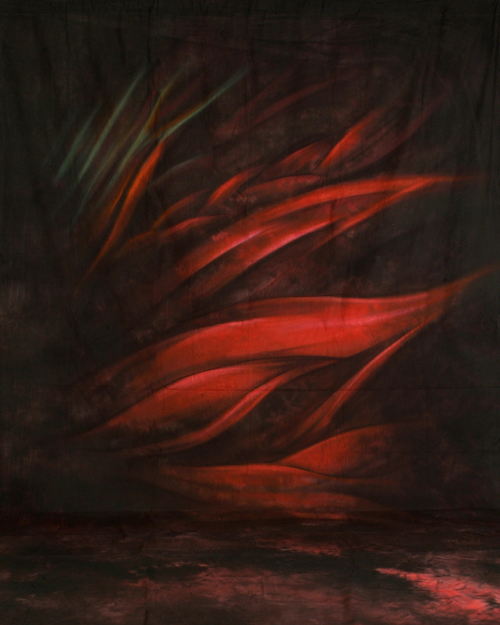 Red Flame  10x20 Polycanvas