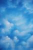 BE618 8x10 Polycanvas