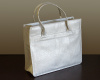 Designer Album Bag